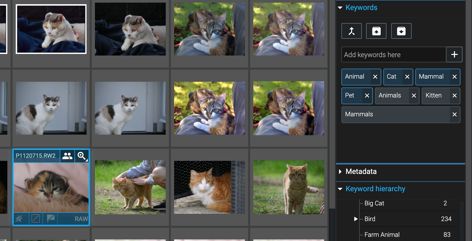 How to easily catalogue and find your photos with Excire Foto – Before ...